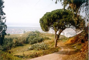 Foto 37 Foto 37