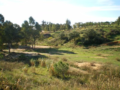 Vaguada Vaguada