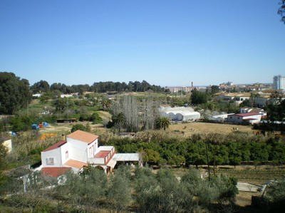 Huertos del Pulmón verde