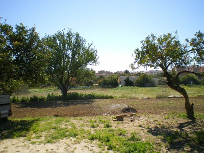 Huertos del Pulmón verde