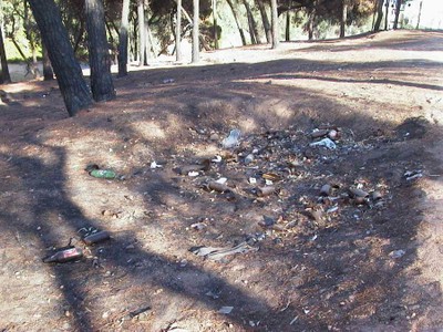 Basura en los pinares (2003)