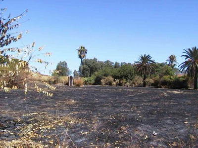 Incendio (2003, foto 5)
