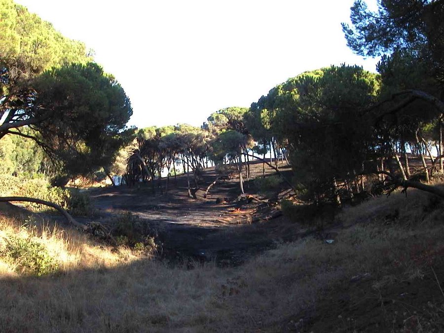 Incendio (2003, foto 11)