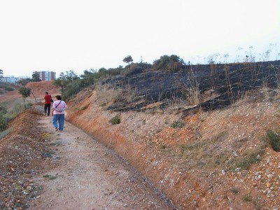 Incendio (2004, foto 90)