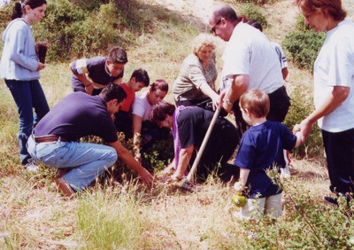 Plantación