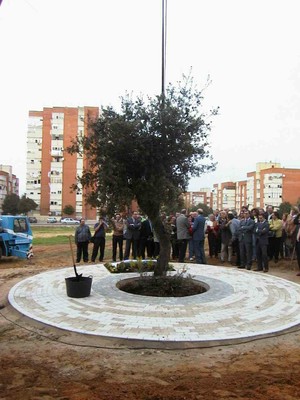 Primer árbol del nuevo Parque Moret (foto 17) Primer árbol del nuevo Parque Moret (foto 17)
