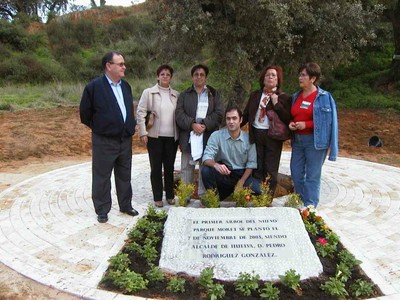 Primer árbol del nuevo Parque Moret (foto 23)