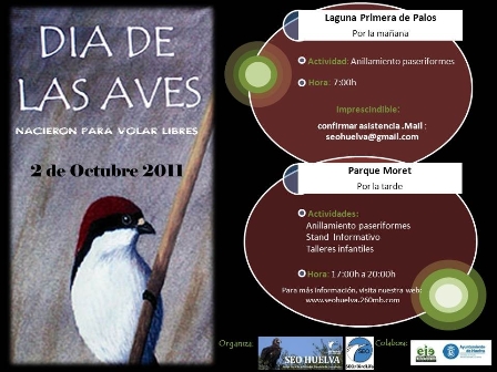 Día de las Aves 2011 en el Parque Moret