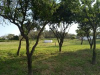 Puesta en marcha de los huertos ecológicos para mayores en el Parque Moret